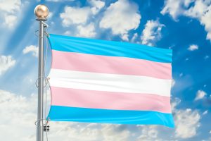 Transgender flag waving in blue cloudy sky, 3D rendering