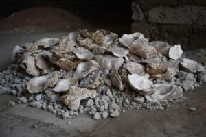 Archaeologists uncover mysterious 'blue room' in Pompeii