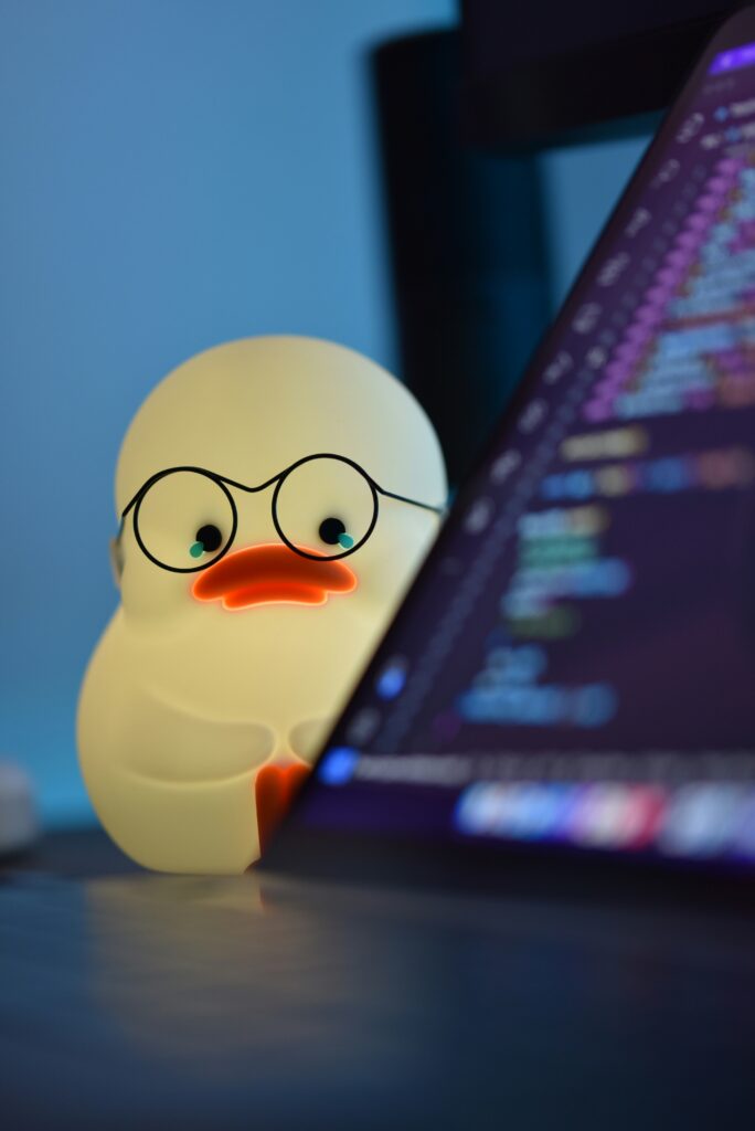 Rubber Ducky Debugging